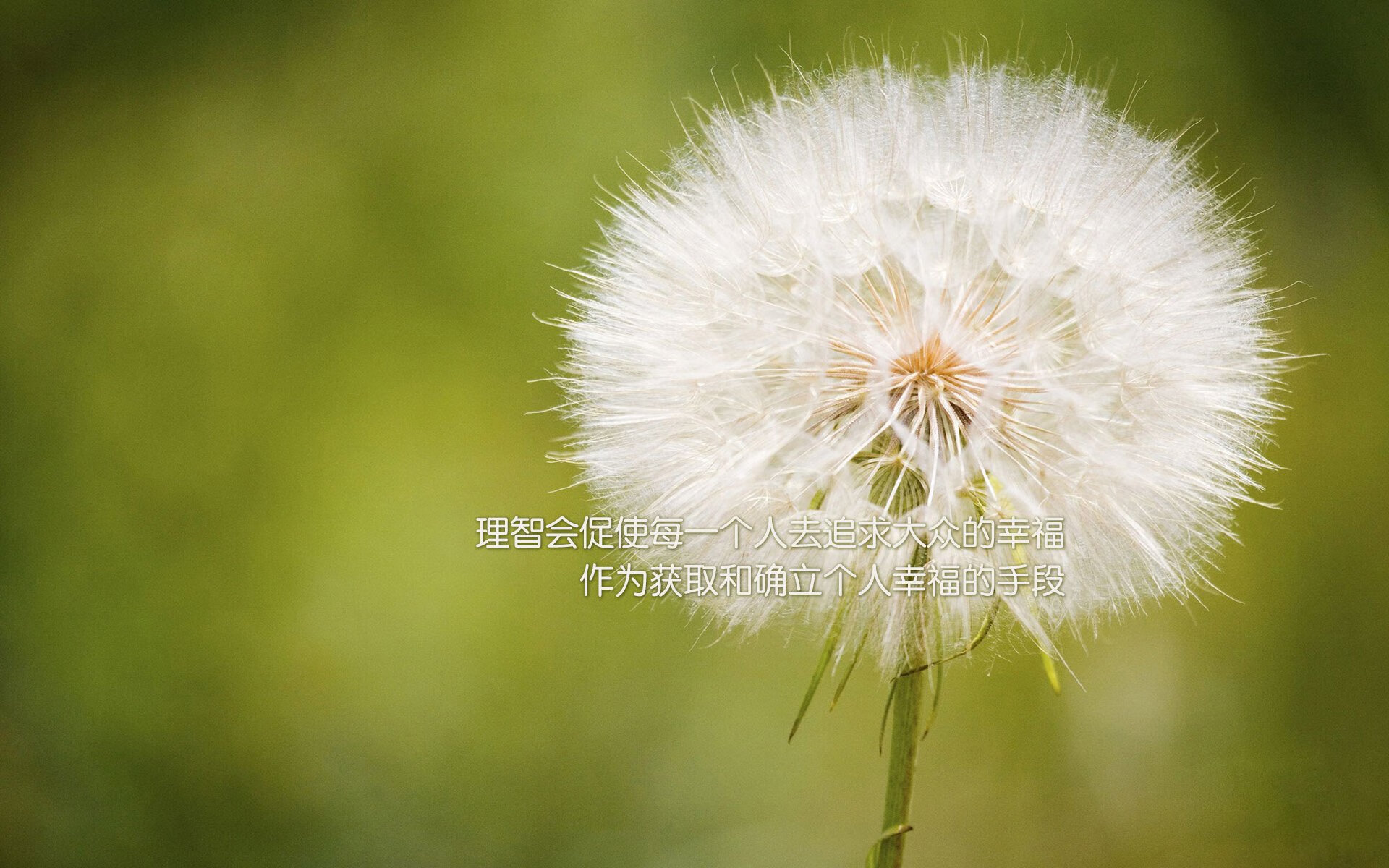 kaiyun开云·官方网站-光明记忆未来之星线上赛，雄鹰展翅迎战强敌，光明记忆海报