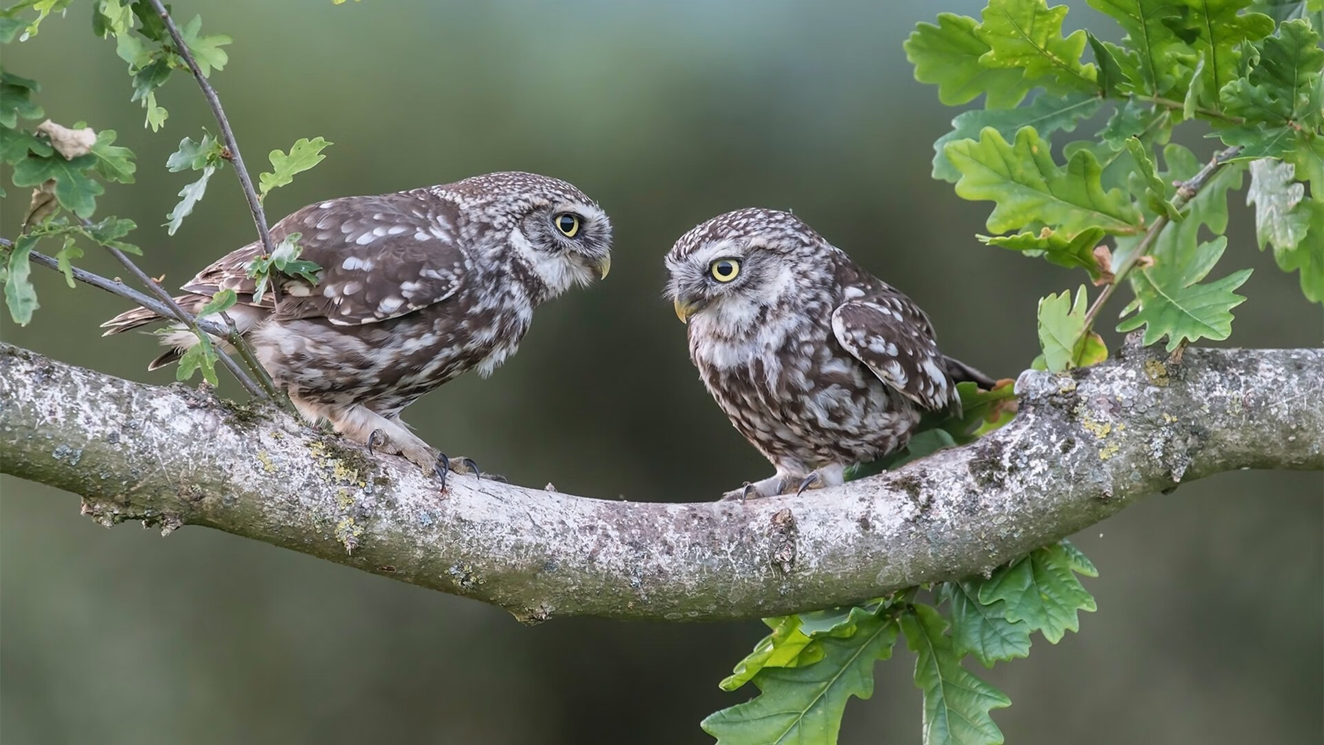 全国青少年“篮动新星”技能大赛在杭州激烈角逐,2020全国青少年篮球比赛