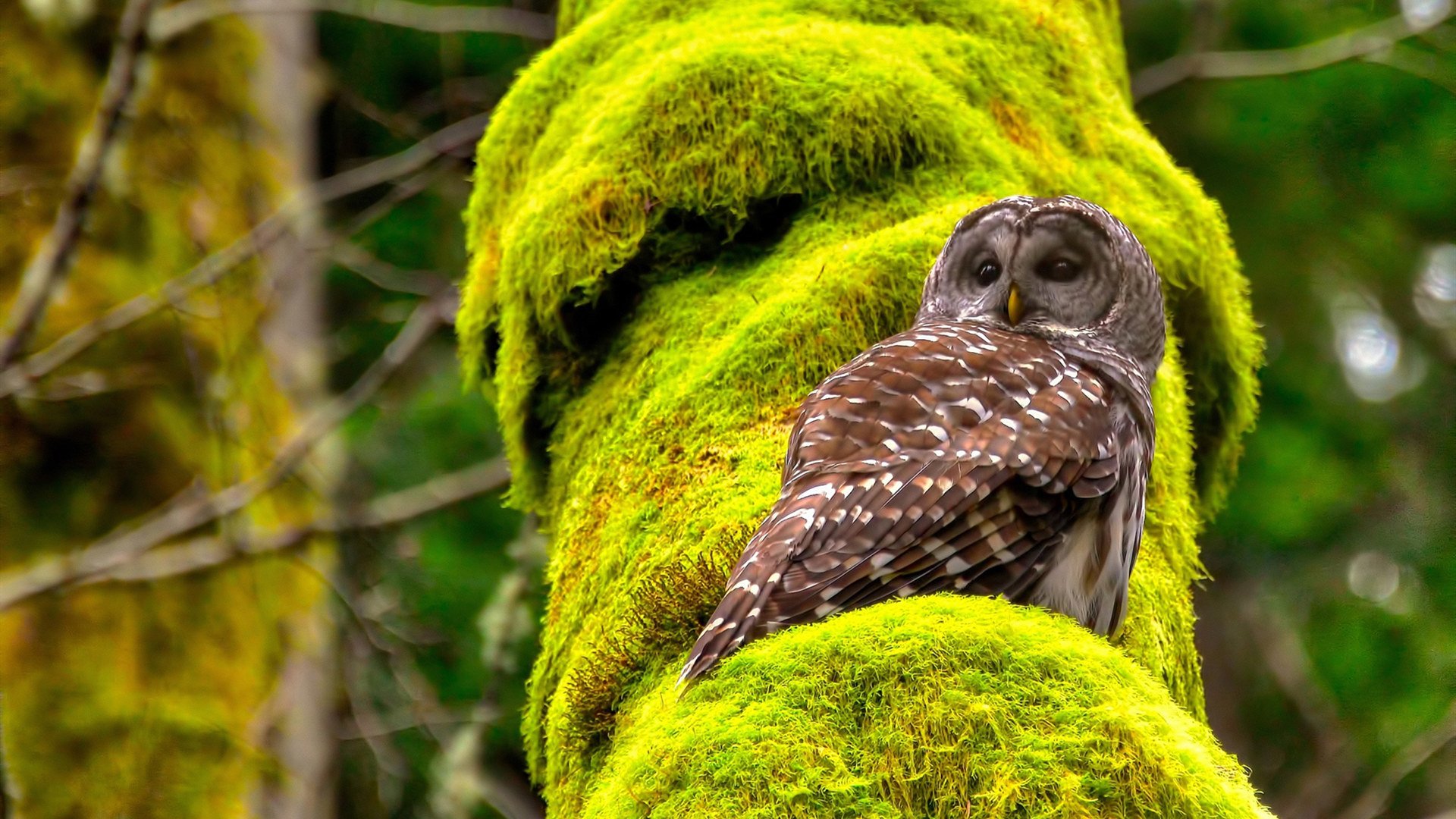 全球极限漂流公开赛,水上激流狂飙梦想启航,全球漂流23