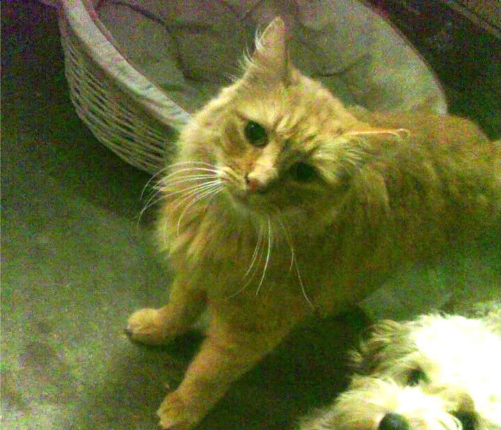 史上最激烈的欧冠“死磕战”回顾,欧冠最死亡之组