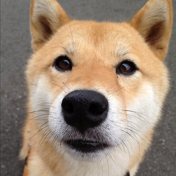 各级足球联赛裁判员职业化道路清晰，行业标准逐步建立，足球裁判员分级