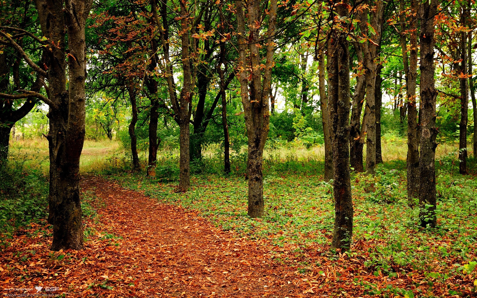 特色沙滩排球国际邀请赛,海风中的激情碰撞,沙滩排球资格赛