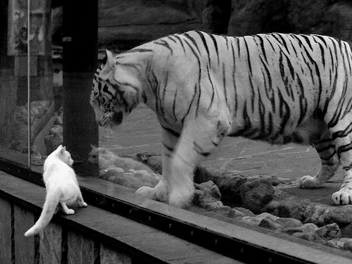 田径世锦赛刘翔担任解说嘉宾,网友怀旧刷屏,刘翔第一次获得世界田径锦标赛冠军