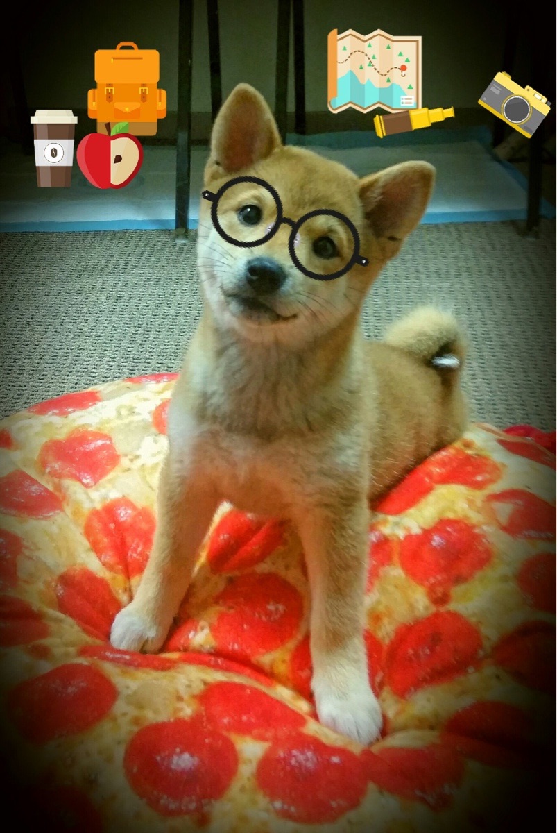 开云平台-科技助力台球比赛，虚拟现实技术引入场内，台球vr模拟