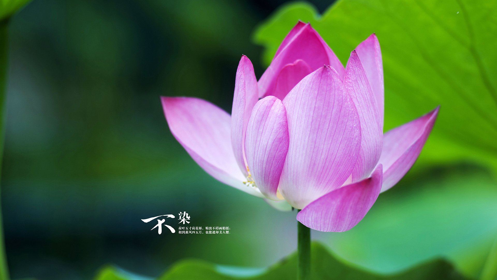 足球教育App上线互动战术板功能,足球战术板app9人