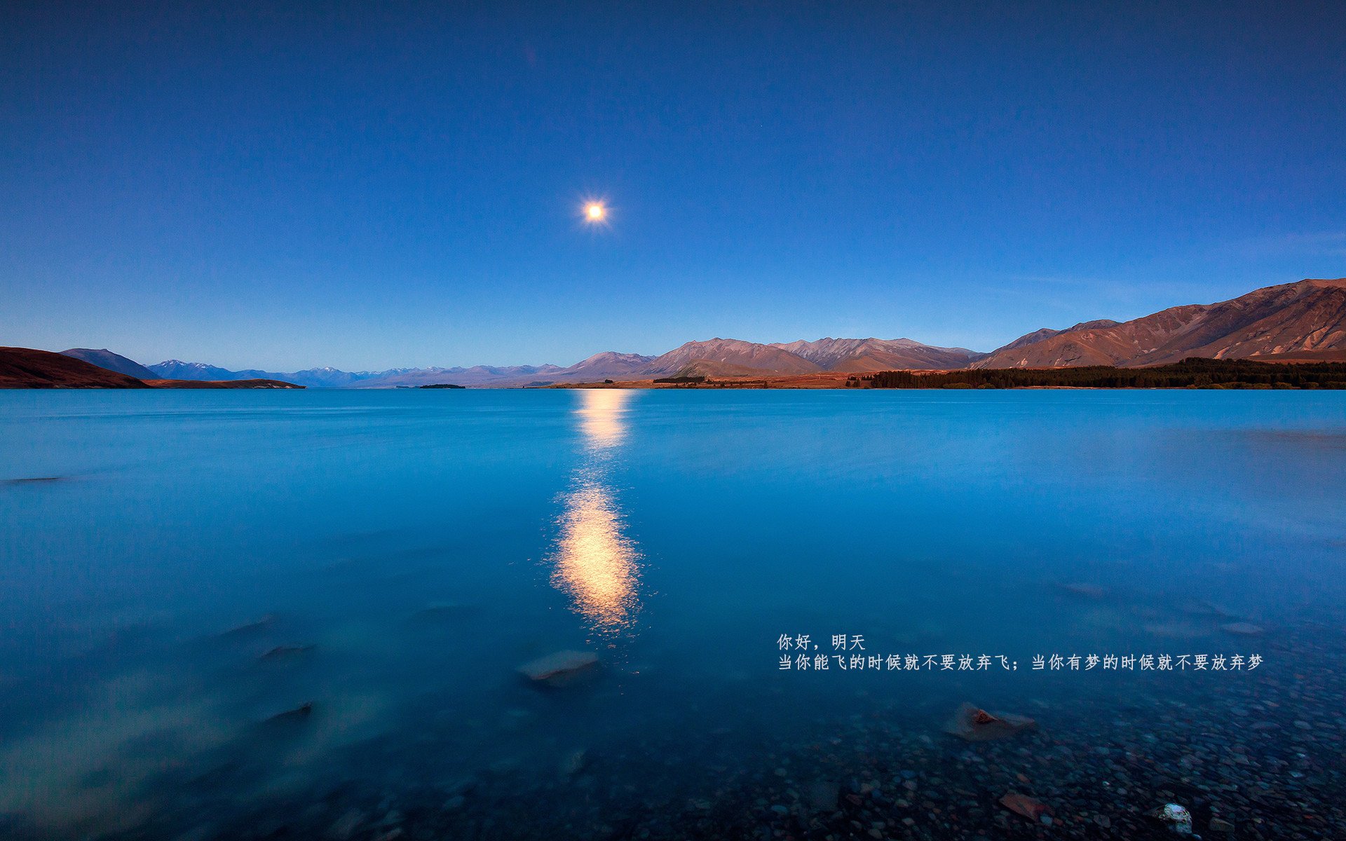 Kaiyun(中国)开云-TL晋级LCS季后赛四强，lcs季后赛赛制