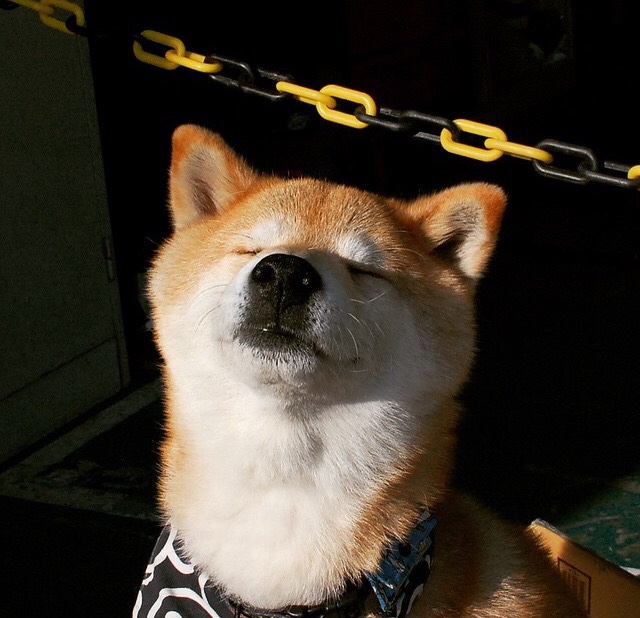 Kaiyun APP-中国篮球运动赛事运营效率提升，中国篮球产业规模