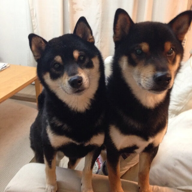 kaiyun.com-皇马主场2-0战胜瓦伦西亚，继续领跑西甲积分榜，时隔5年皇马重夺西甲冠军 浅谈皇马本赛季5大赢球关键