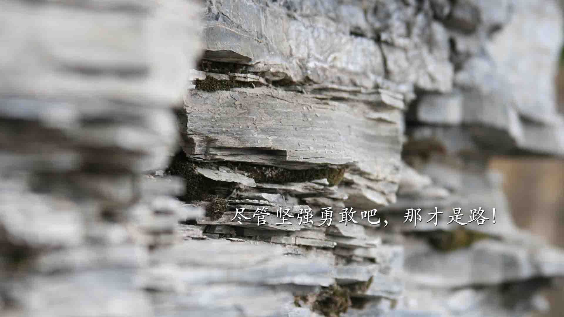 Kaiyun(中国)开云-罗马对阵那不勒斯，谁能拔得头筹，罗马vs那不勒斯直播