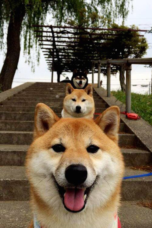 开云·体育官网APP下载-萨索洛客场奏凯，击败排名前茅的对手，萨索洛老板