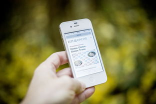 开云中国-智能训练辅助系统开发与应用，智能训练处理