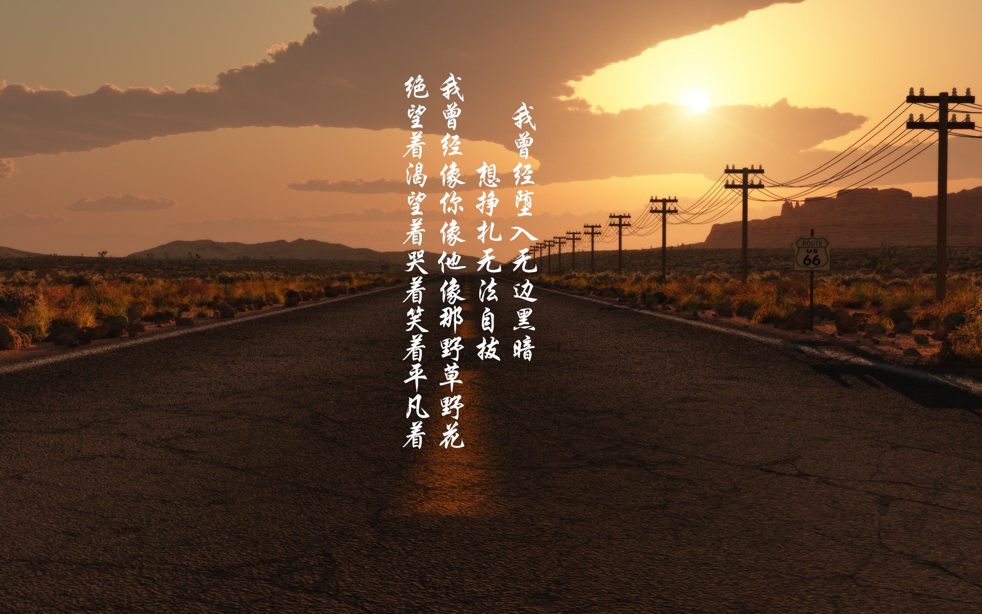 “龙泉驿东安湖体育公园:赛场热力四射,运动员激情无限”