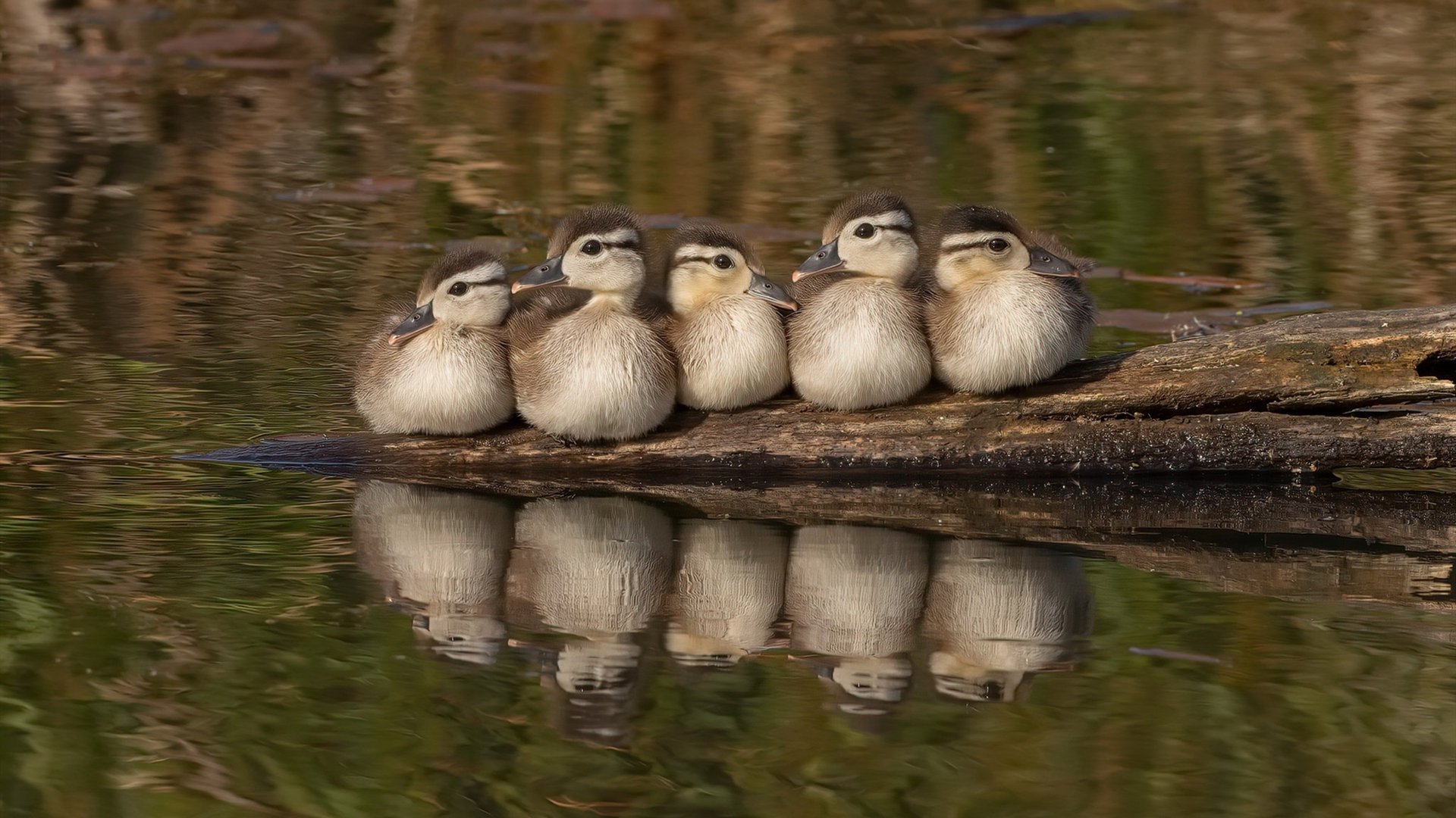 中国三人篮球男队调整首发 尝试新组合,中国三人篮球男队调整首发 尝试新组合的球员