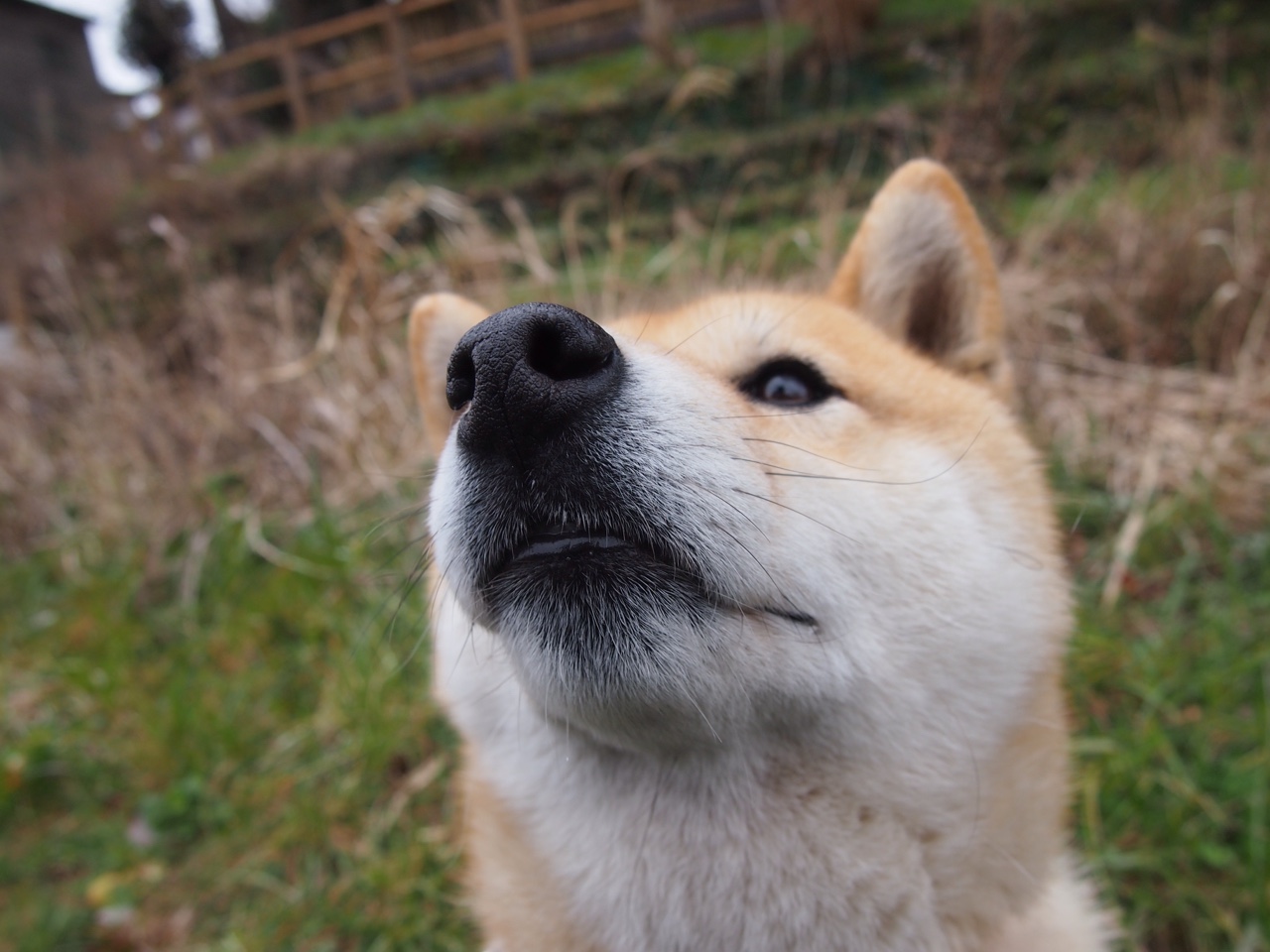 世界杯永恒瞬间:经典如一,值得收藏!,世界杯经典殿堂