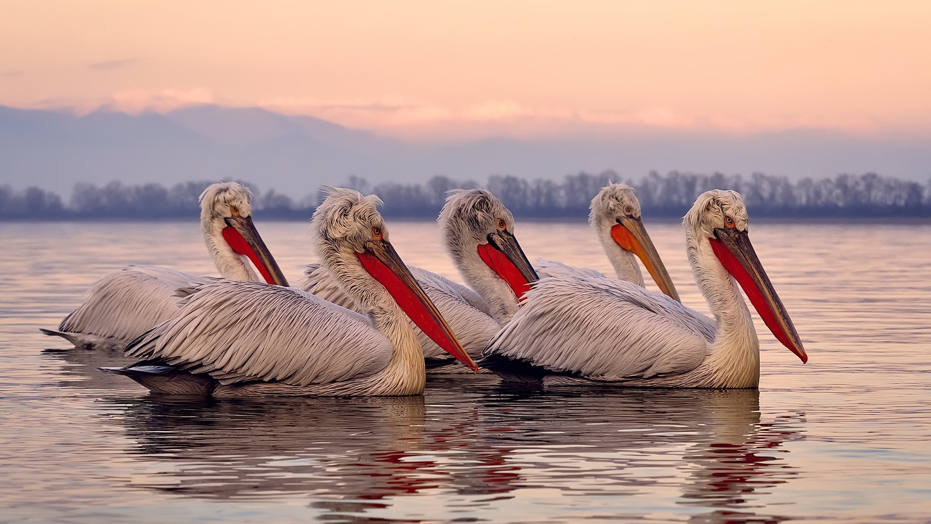 德甲瞬间破门：速度与力量的完美展现！，德甲速度最快现役球员