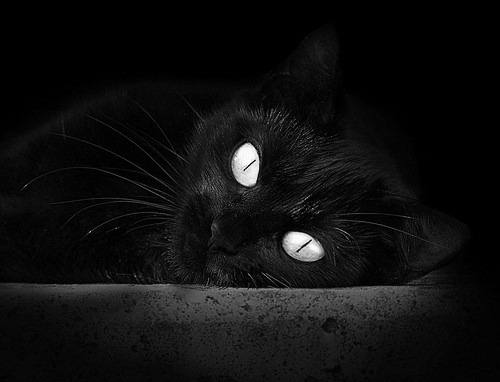 kaiyun官方网站-法甲新星崛起：未来之星展现锋芒！，fifa未来之星