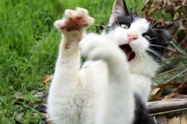 开云·Kaiyun网页版-特色足球文化在海外推广，成为国际交流的重要桥梁，足球文化的魅力