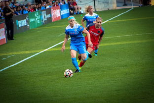 开云全站-中国篮球职业联赛俱乐部财务风险管理，篮球俱乐部财务制度